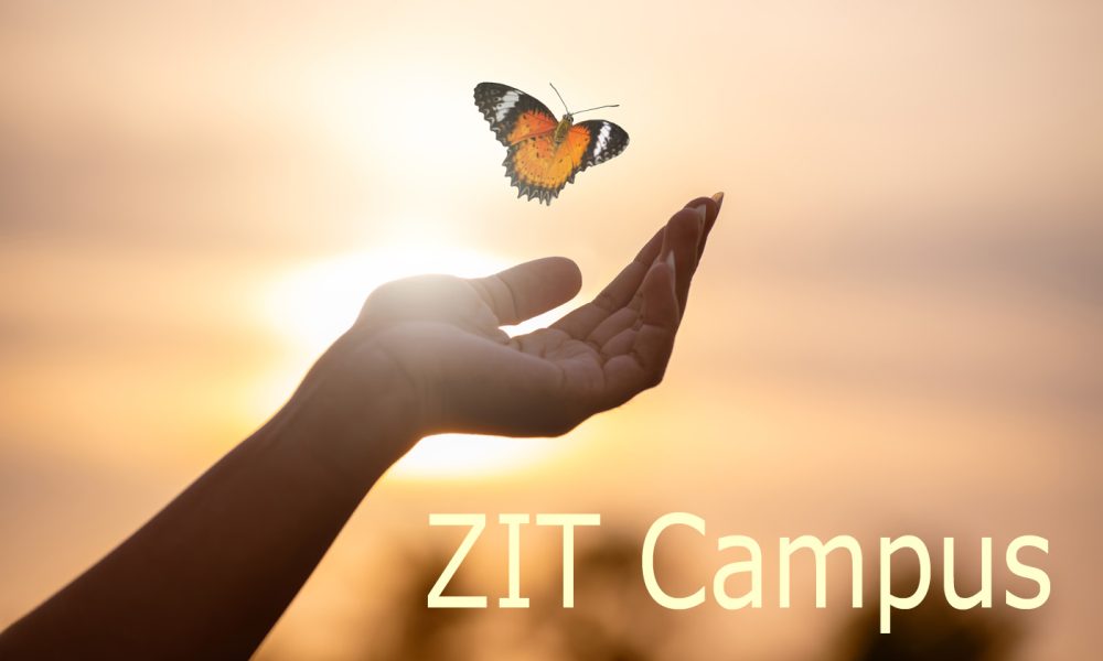 Butterfly Resting on Finger Tip Against Golden Sunset Sky. Butterfly resting finger tip hand touch freedom inspiration nature concept hope serenity golden sunset sunrise silhouette sky background animal wildlife sensitive emotional moment.